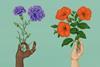 Hands holding ornamental plants